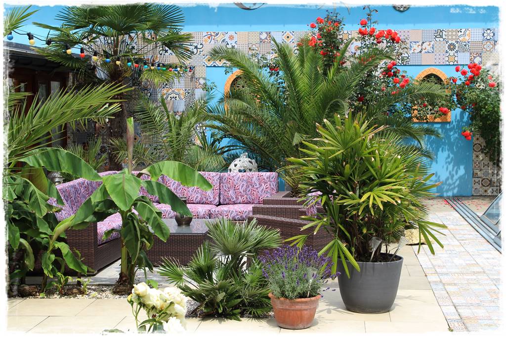 Ogród marokański 45