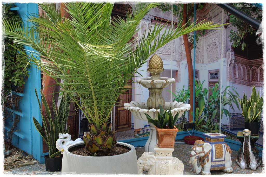 Ogród marokański 59