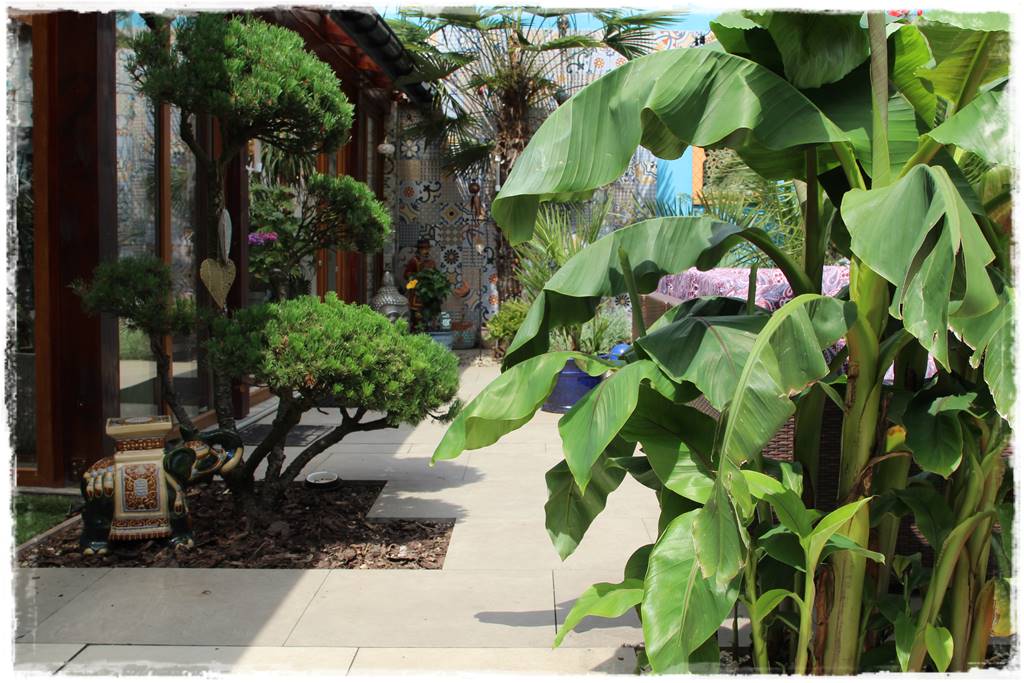 Ogród marokański 62