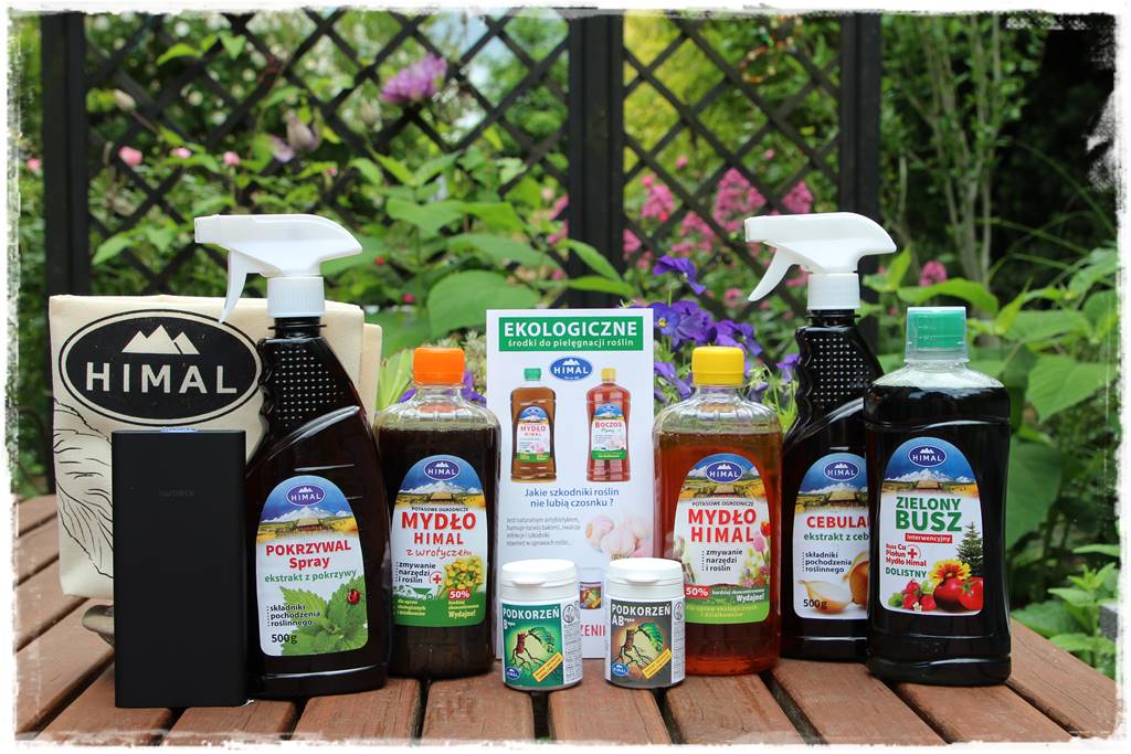 Ogród w Karkonoszach 104