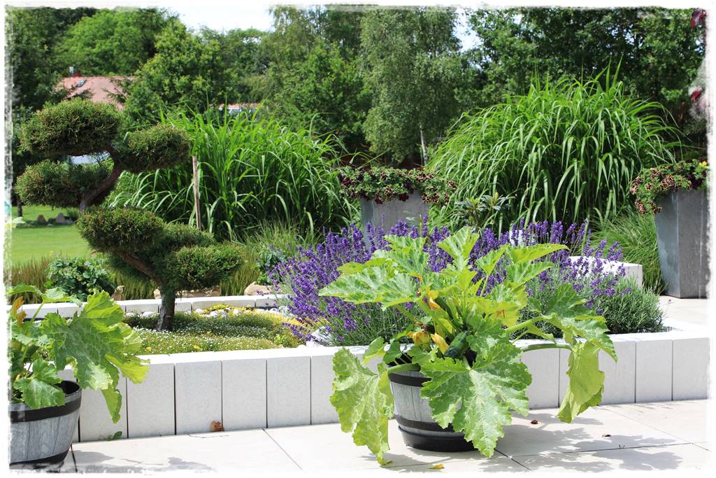 Ogród w Karkonoszach 12 Ogród w Karkonoszach 12