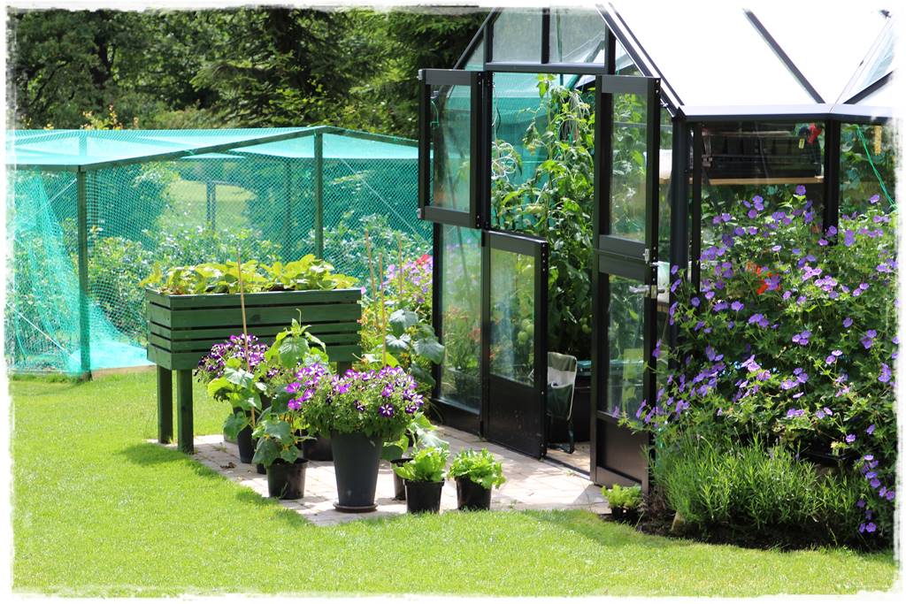 Ogród w Karkonoszach 20 Ogród w Karkonoszach 20