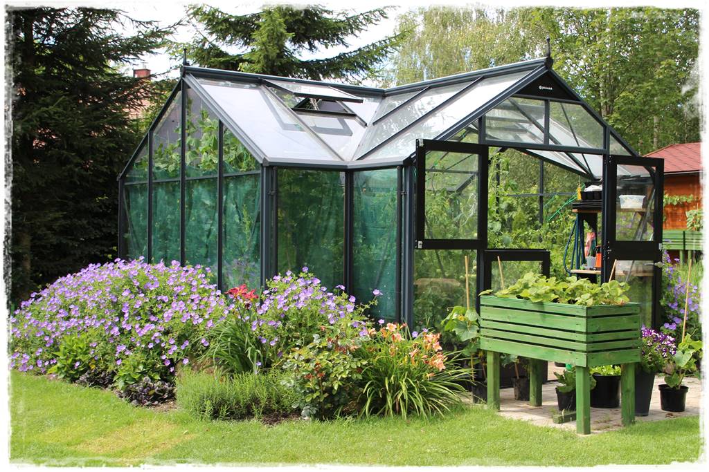 Ogród w Karkonoszach 31 Ogród w Karkonoszach 31