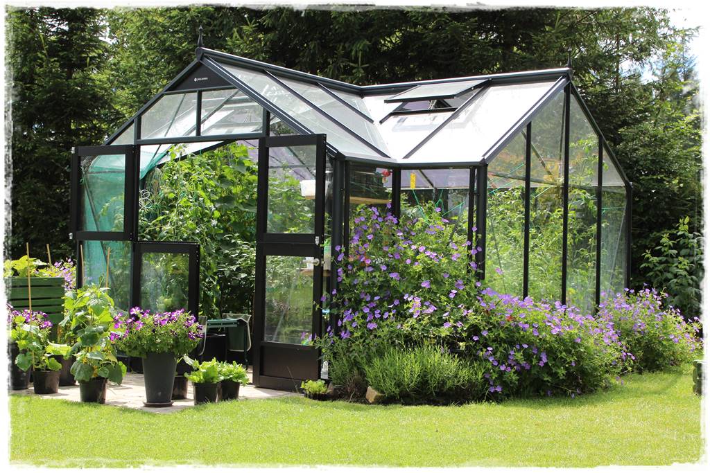 Ogród w Karkonoszach 34 Ogród w Karkonoszach 34