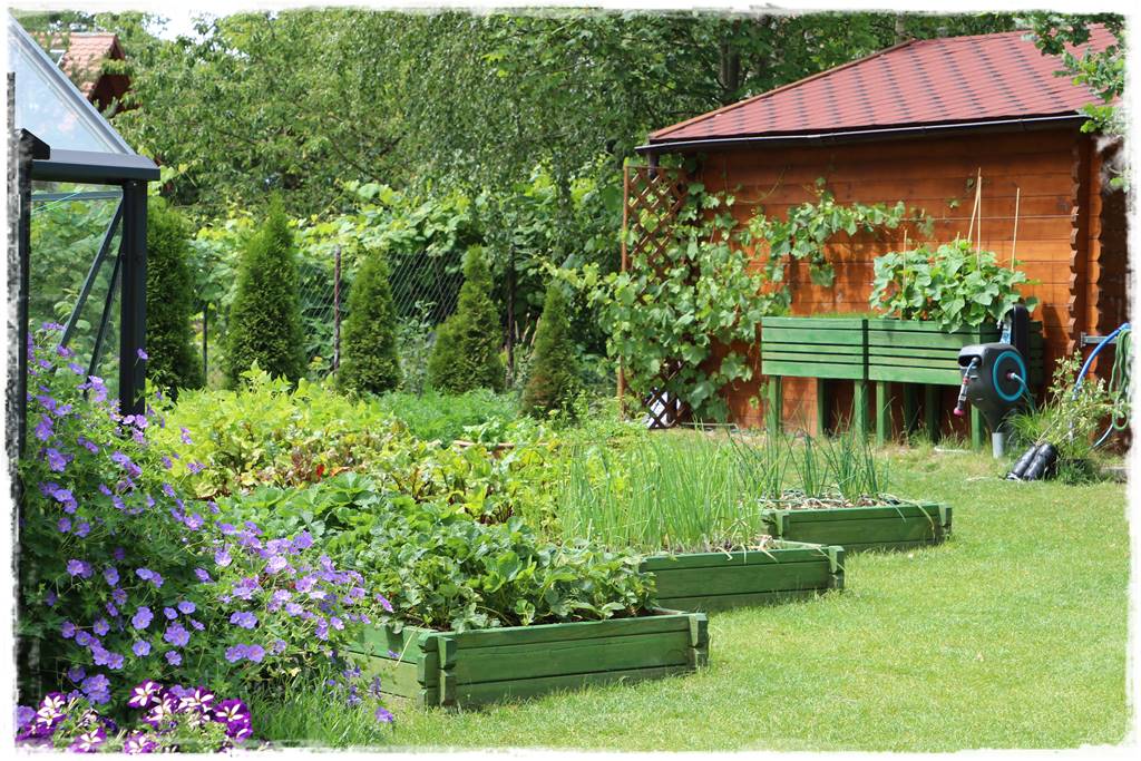 Ogród w Karkonoszach 36 Ogród w Karkonoszach 36