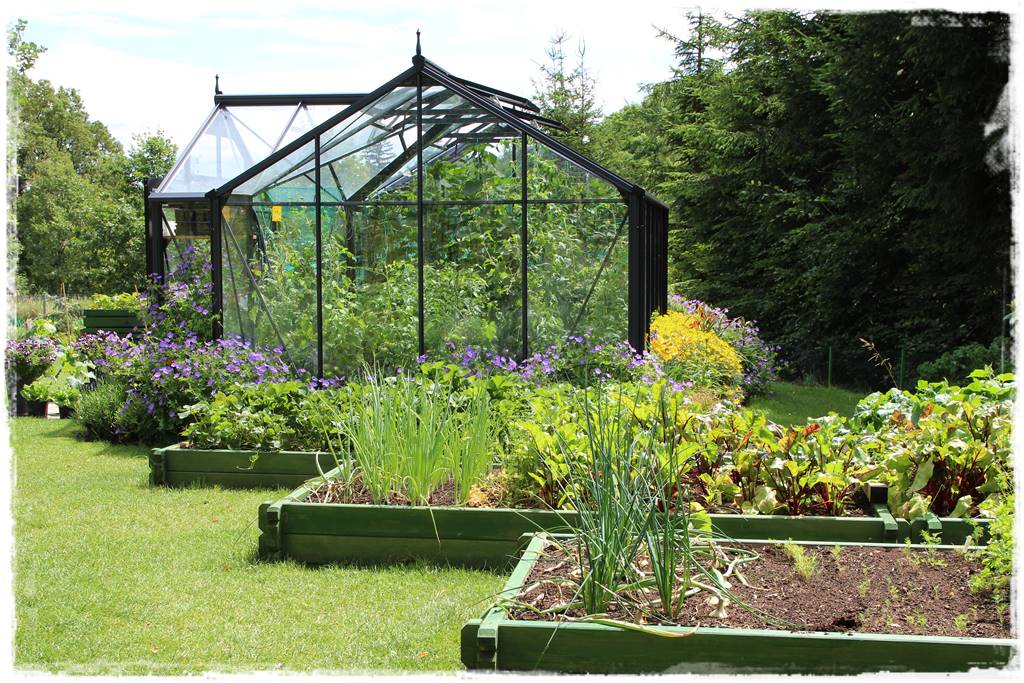 Ogród w Karkonoszach 37 Ogród w Karkonoszach 37