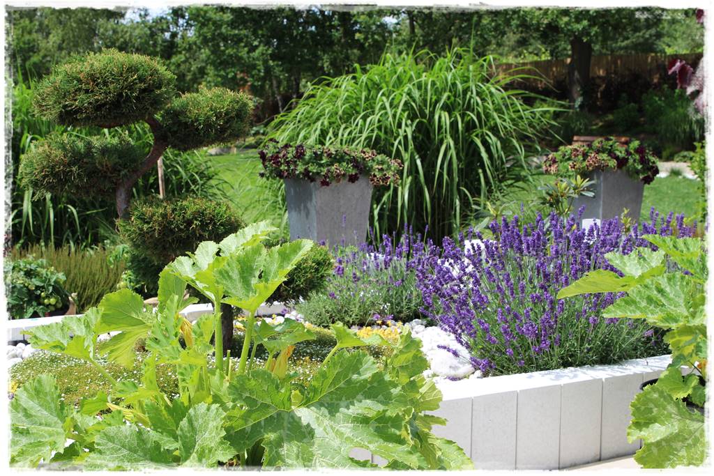 Ogród w Karkonoszach 41 Ogród w Karkonoszach 41