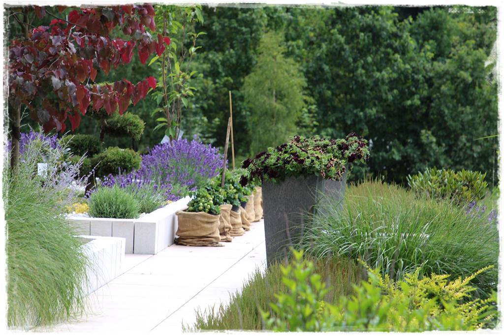 Ogród w Karkonoszach 44 Ogród w Karkonoszach 44