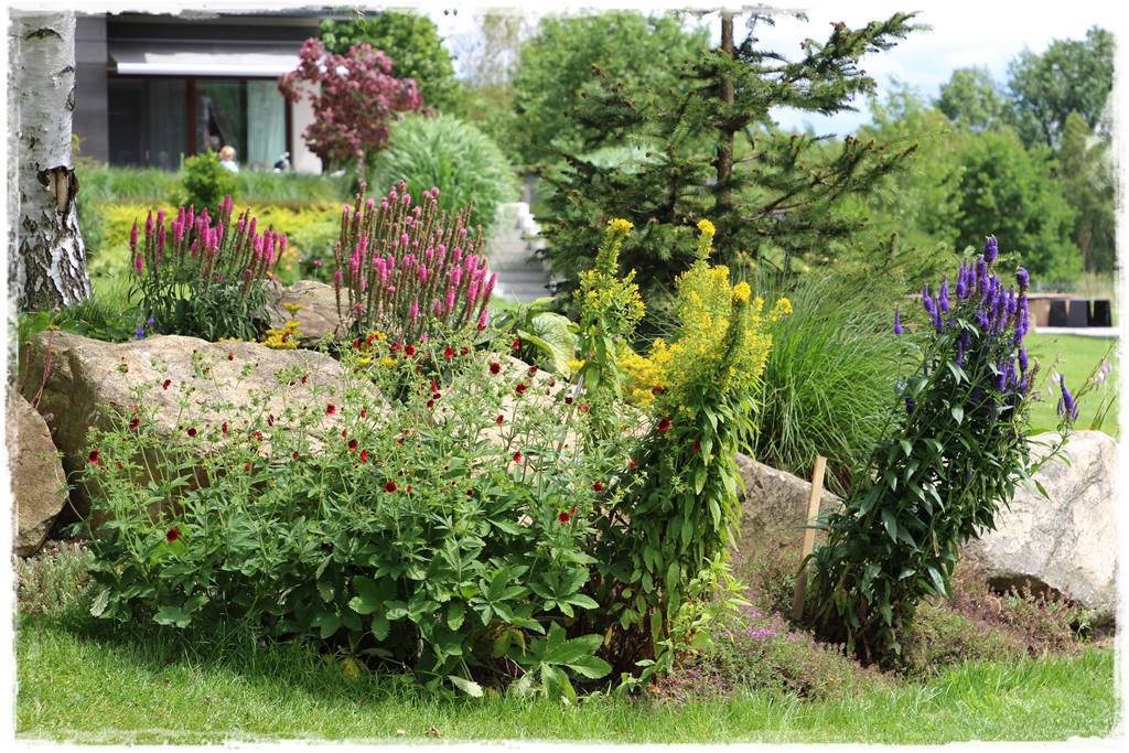 Ogród w Karkonoszach 49 Ogród w Karkonoszach 49