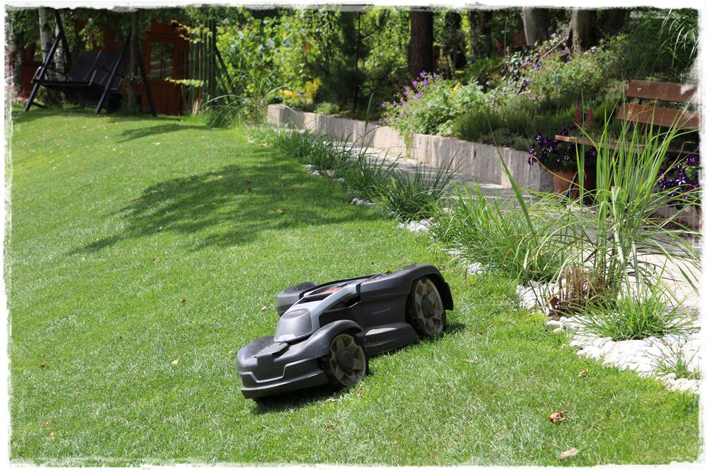 Ogród w Karkonoszach 50 Ogród w Karkonoszach 50