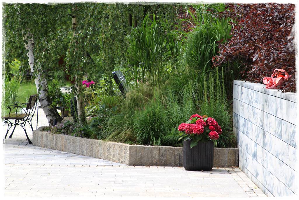 Ogród w Karkonoszach 51 Ogród w Karkonoszach 51