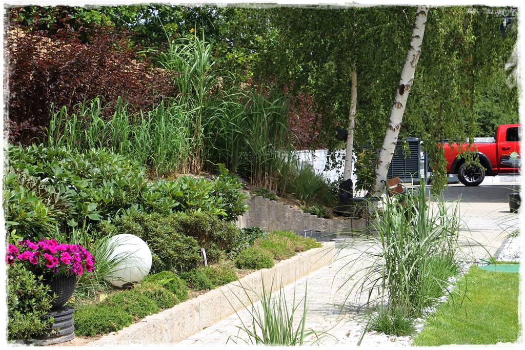 Ogród w Karkonoszach 52 Ogród w Karkonoszach 52