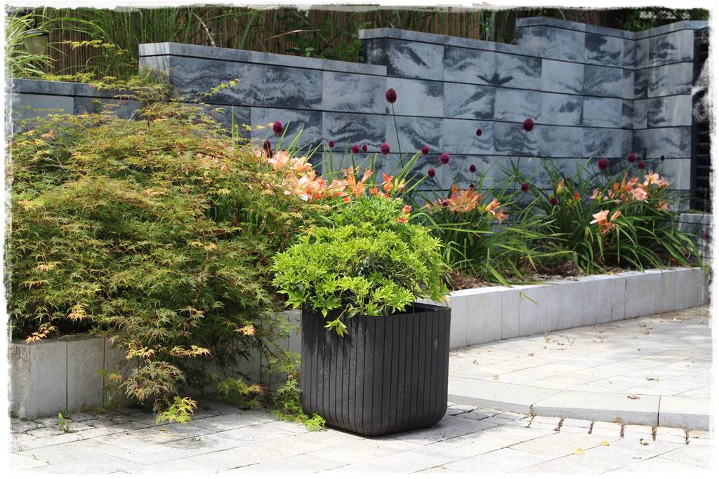 Ogród w Karkonoszach 53 Ogród w Karkonoszach 53