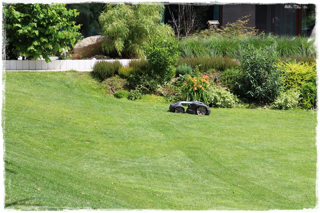 Ogród w Karkonoszach 55 Ogród w Karkonoszach 55