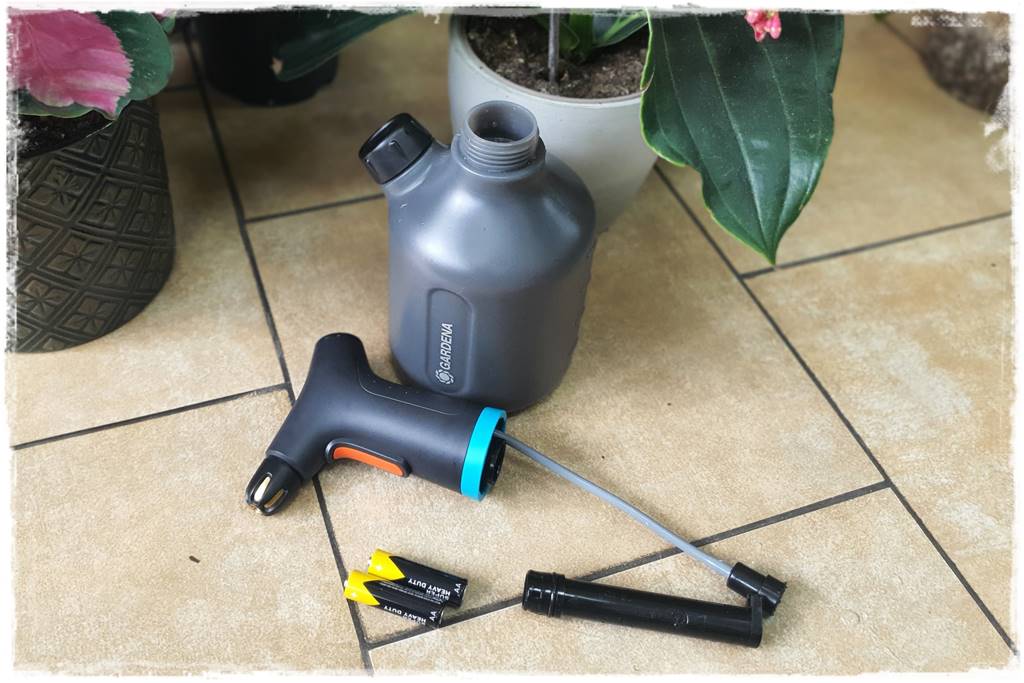 jak latem dbać o rośliny domowe 37 jak latem dbać o rośliny domowe 37