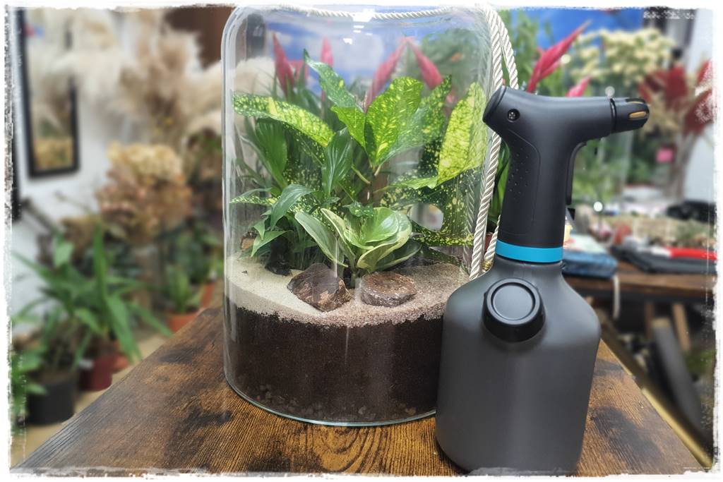 jak latem dbać o rośliny domowe 49 jak latem dbać o rośliny domowe 49