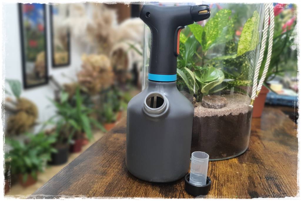 jak latem dbać o rośliny domowe 50 jak latem dbać o rośliny domowe 50