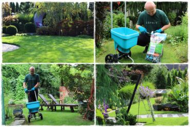 sposób na piękny trawnik 0