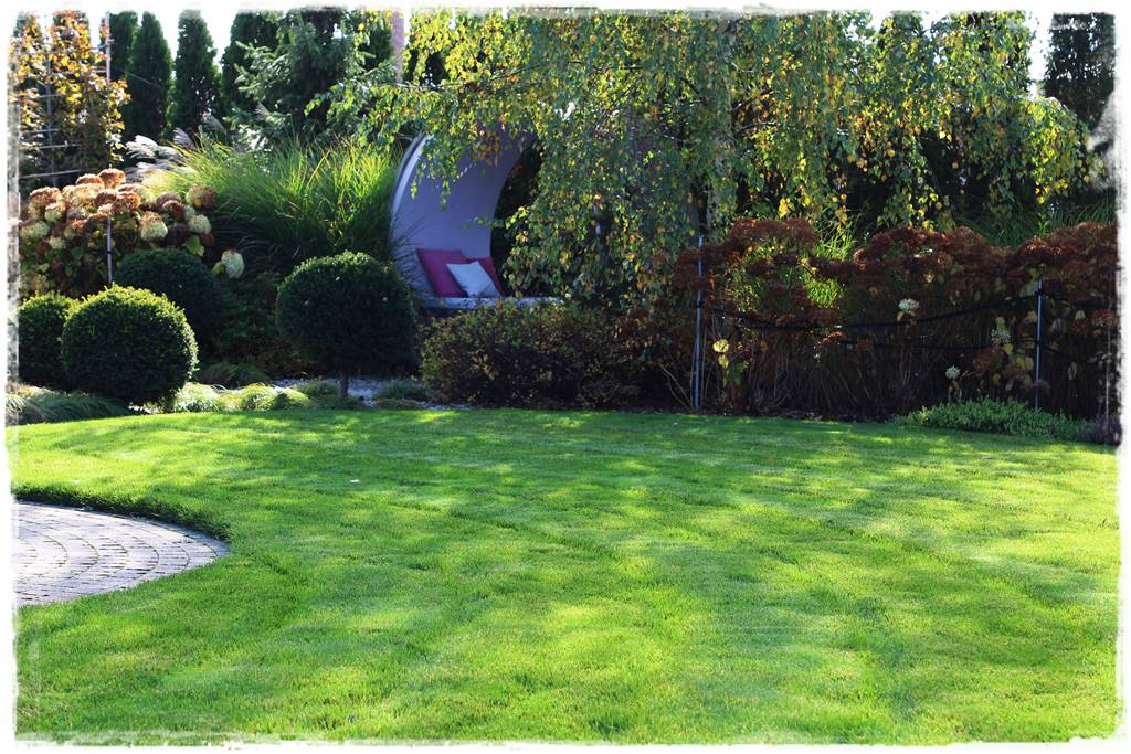 sposób na piękny trawnik 0a sposób na piękny trawnik 0a