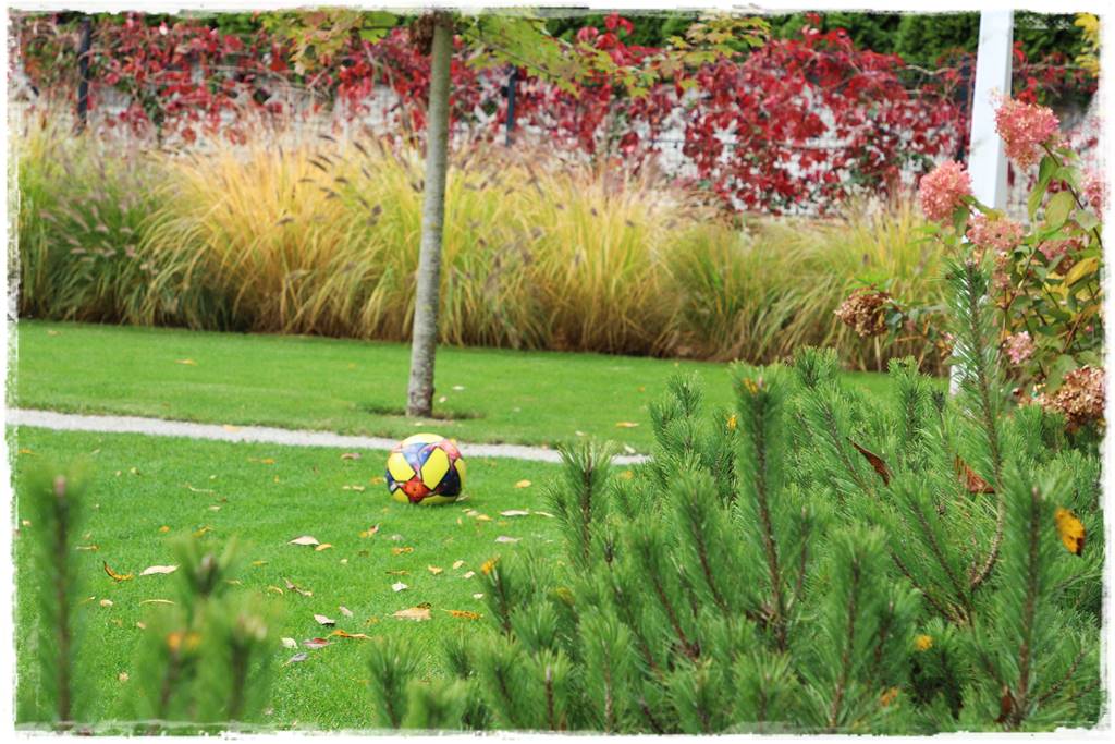 sposób na piękny trawnik 0c sposób na piękny trawnik 0c