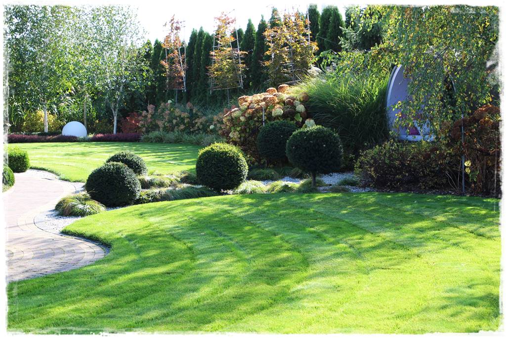 sposób na piękny trawnik 12 sposób na piękny trawnik 12