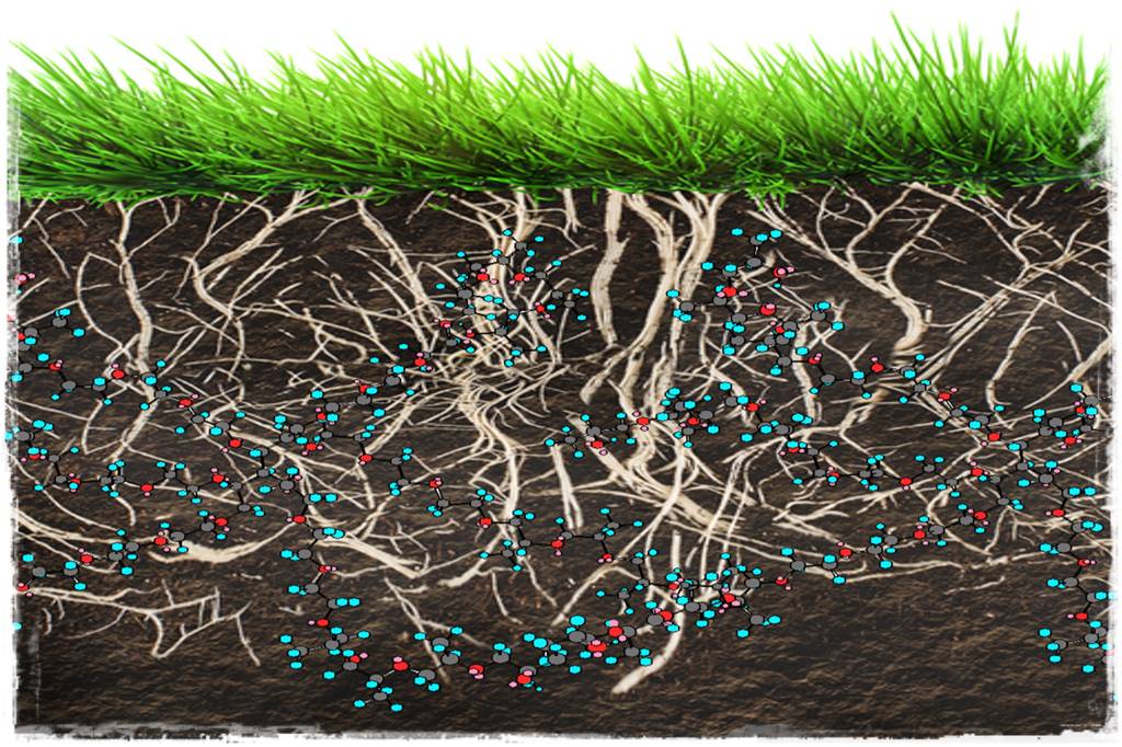 sposób na piękny trawnik 15 sposób na piękny trawnik 15