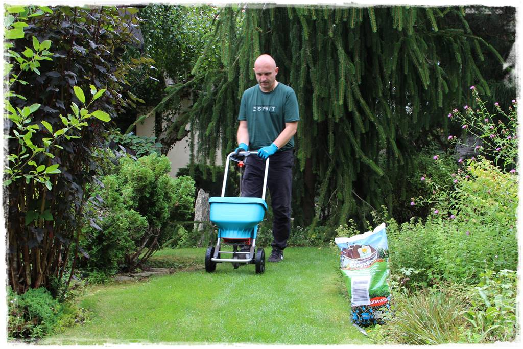 sposób na piękny trawnik 50 sposób na piękny trawnik 50