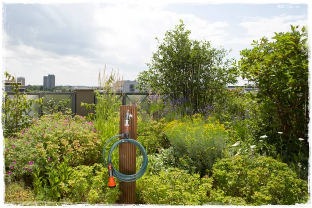 Gdzie schować wąż ogrodowy 34 Gdzie schować wąż ogrodowy 34