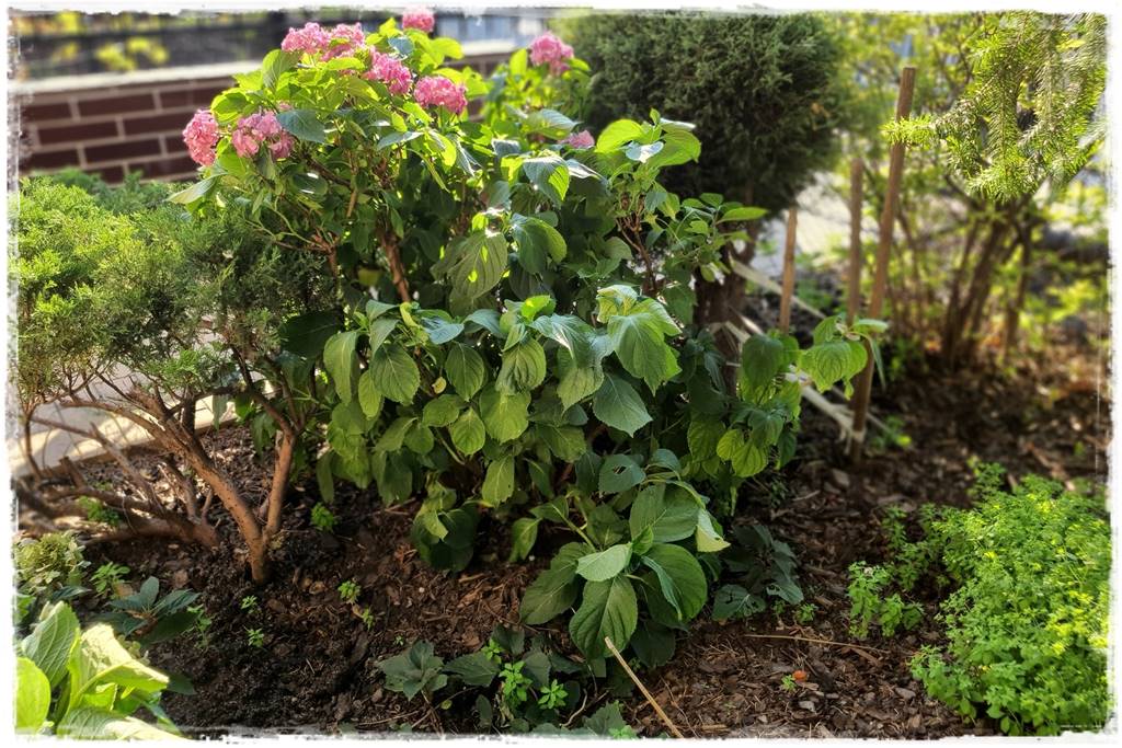 Płyn UV 10a Płyn UV 10a