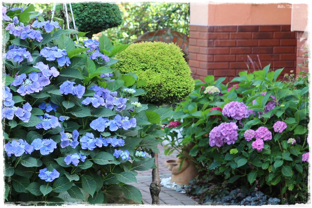 Płyn UV 12a Płyn UV 12a