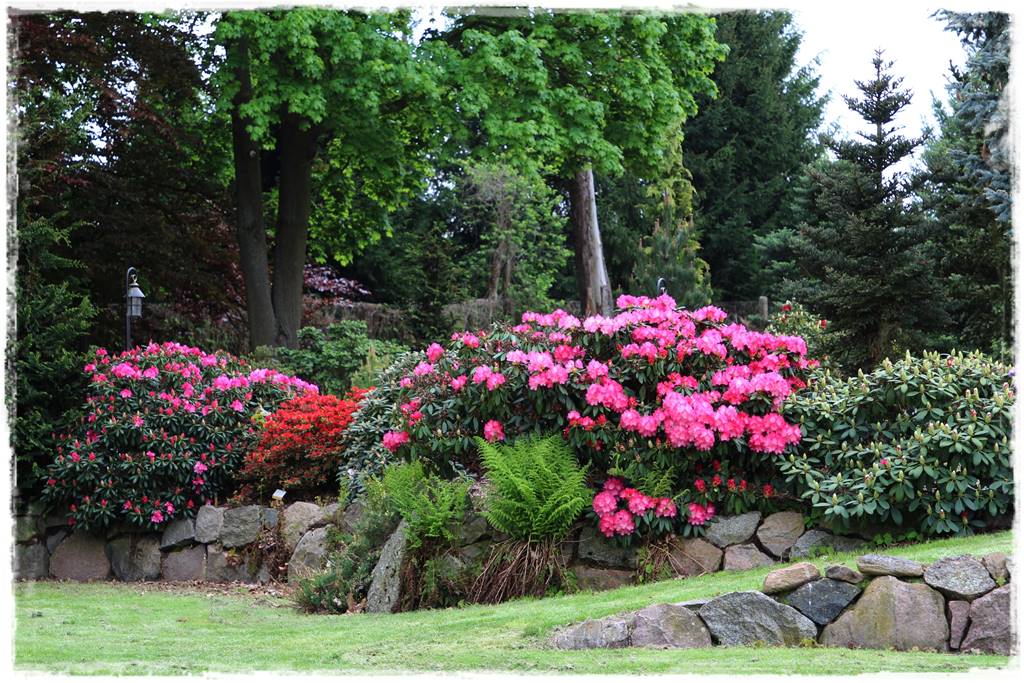 Płyn UV 13 Płyn UV 13