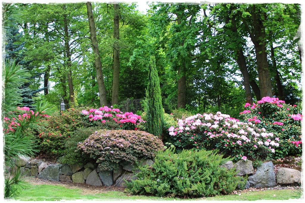 Płyn UV 13a Płyn UV 13a