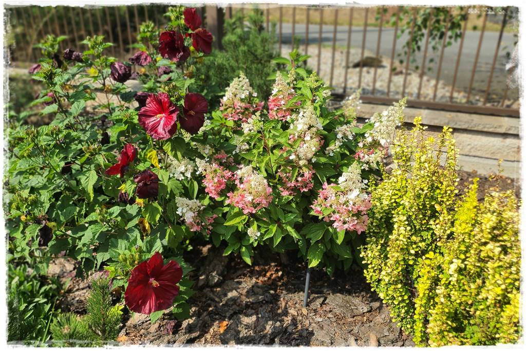 Płyn UV 2 Płyn UV 2