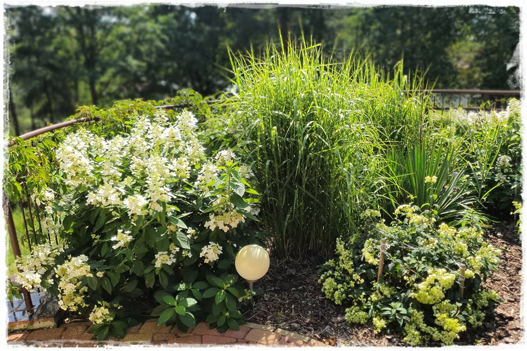 Płyn UV 25 Płyn UV 25