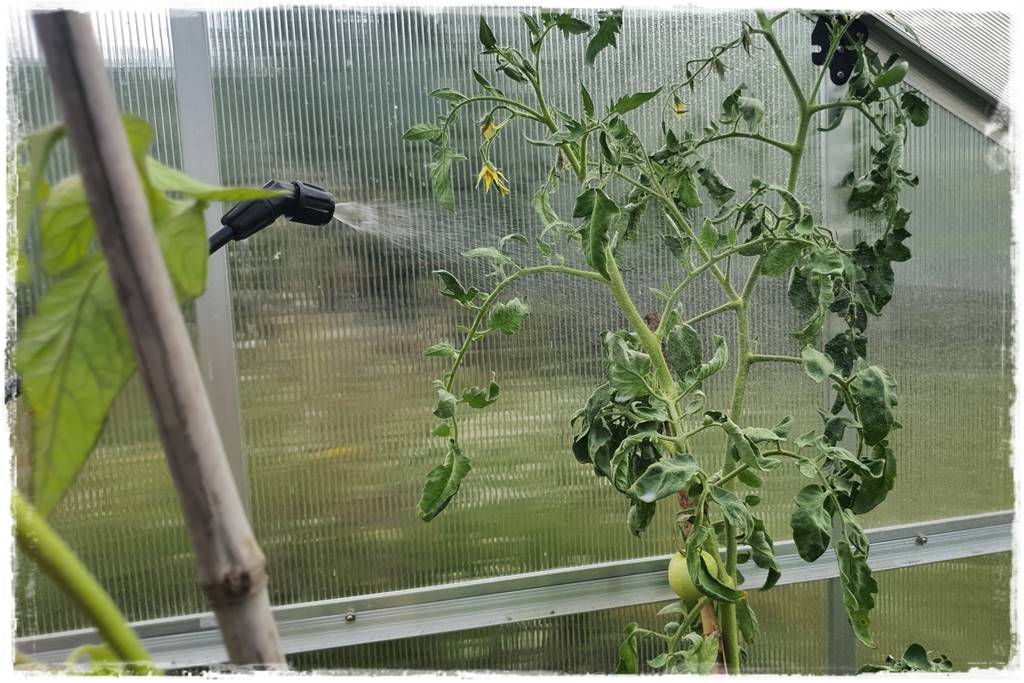 Płyn UV 34 Płyn UV 34