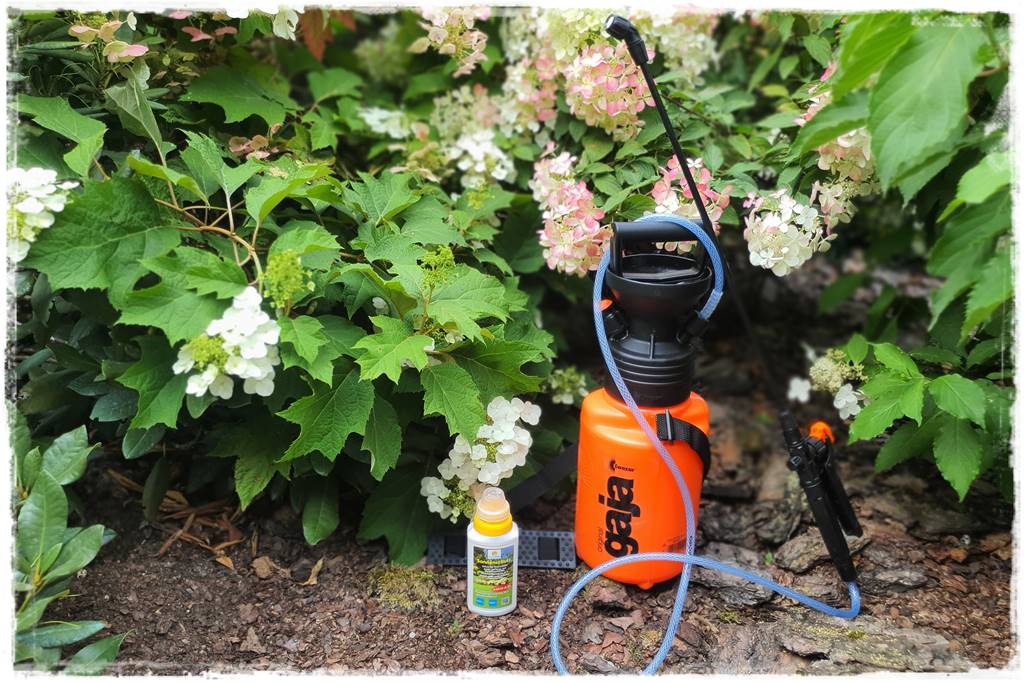 Płyn UV 37 Płyn UV 37