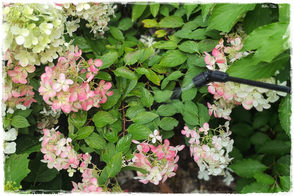 Płyn UV 40 Płyn UV 40