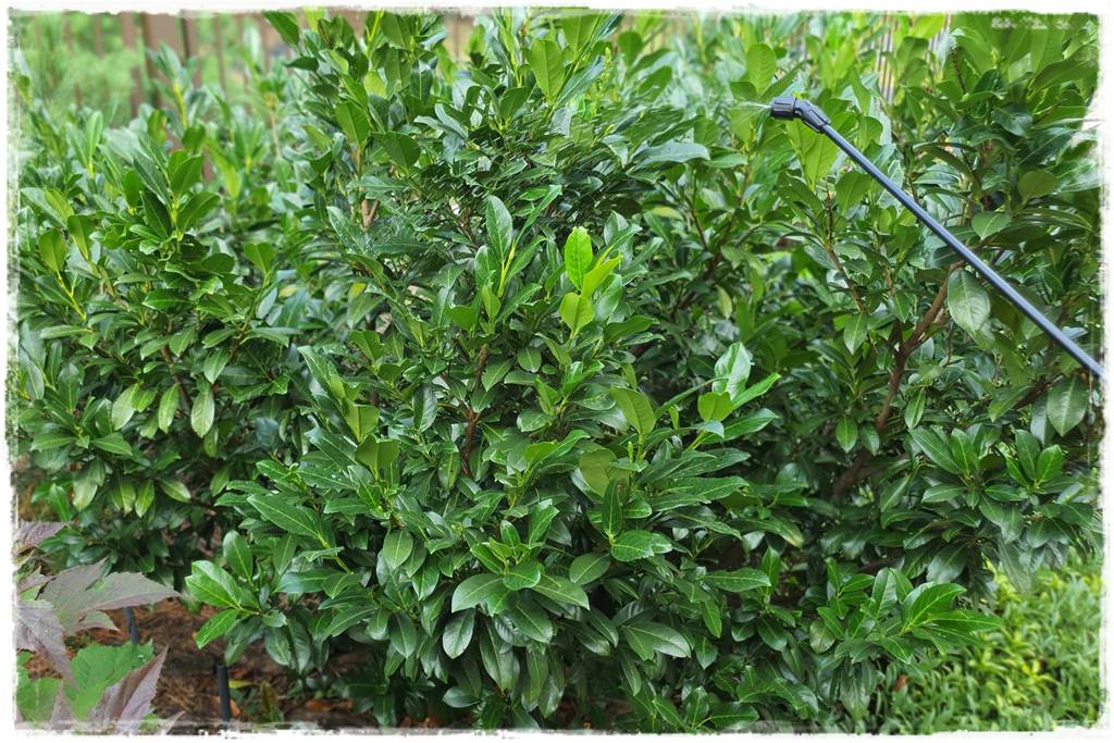 Płyn UV 43 Płyn UV 43