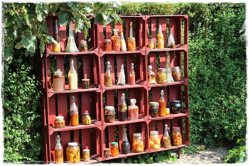 jeżyny do ogrodu 5 jeżyny do ogrodu 5