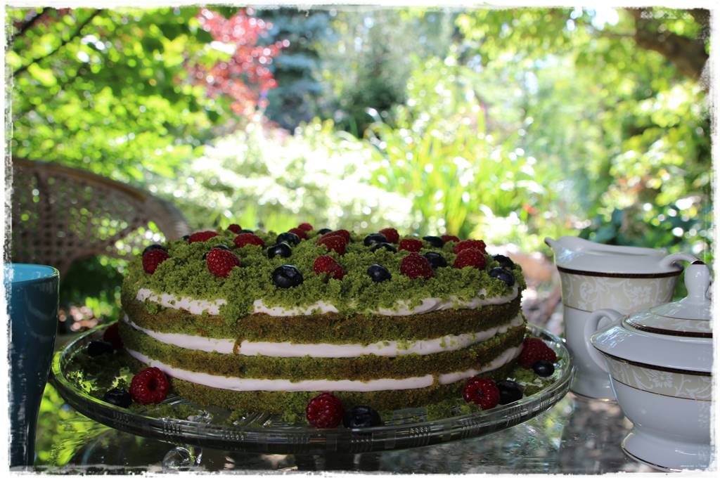 jeżyny do ogrodu 6 jeżyny do ogrodu 6