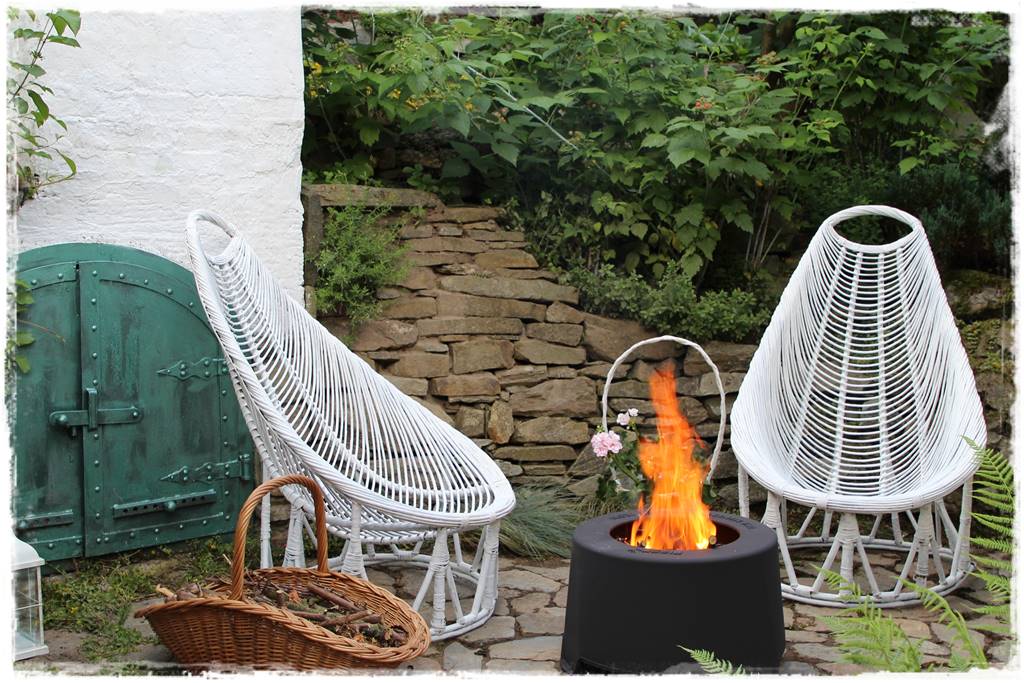 jeżyny do ogrodu 7 jeżyny do ogrodu 7