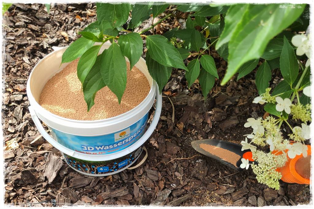 letnie nawożenie róż 85 letnie nawożenie róż 85