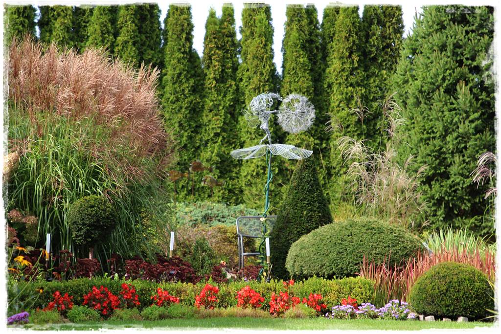 Jak sadzić tuje na żywopłot 2 Jak sadzić tuje na żywopłot 2