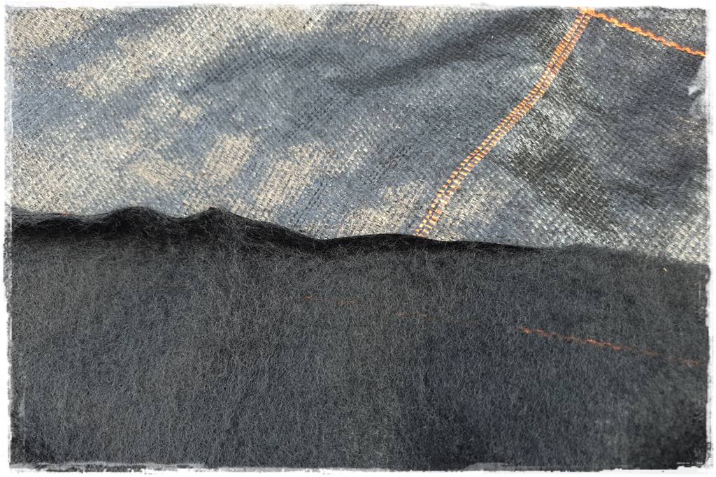 Jak sadzić tuje na żywopłot 22 Jak sadzić tuje na żywopłot 22