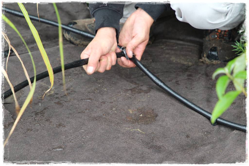 Jak zaplanować system nawadniania ogrodu 10 Jak zaplanować system nawadniania ogrodu 10