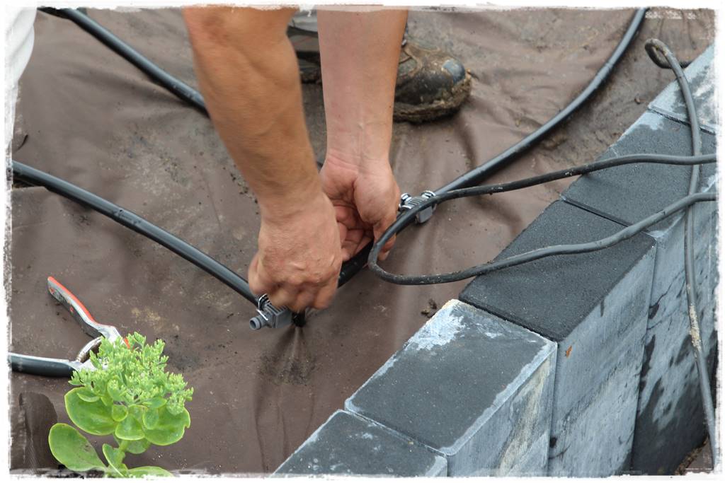 Jak zaplanować system nawadniania ogrodu 11 Jak zaplanować system nawadniania ogrodu 11