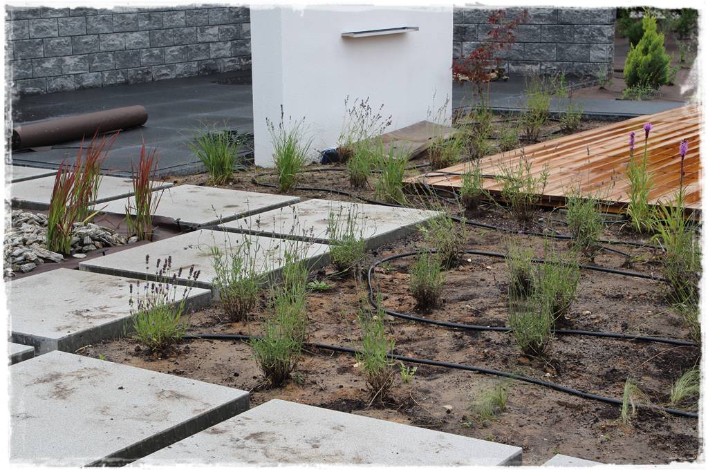 Jak zaplanować system nawadniania ogrodu 13 Jak zaplanować system nawadniania ogrodu 13