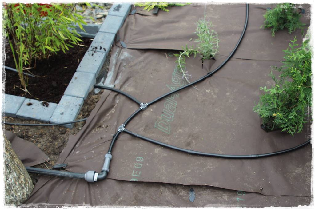 Jak zaplanować system nawadniania ogrodu 14 Jak zaplanować system nawadniania ogrodu 14