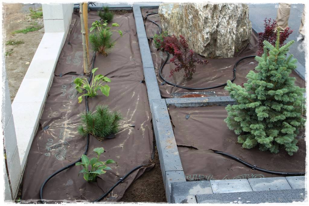 Jak zaplanować system nawadniania ogrodu 19 Jak zaplanować system nawadniania ogrodu 19