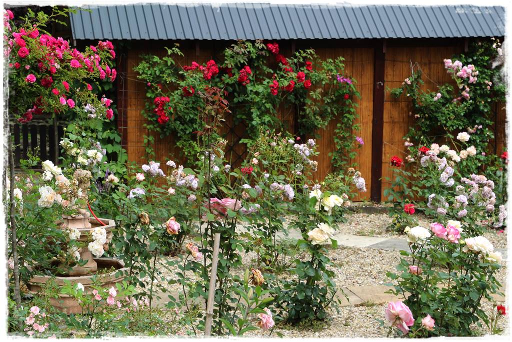 Jak zaplanować system nawadniania ogrodu 2 Jak zaplanować system nawadniania ogrodu 2